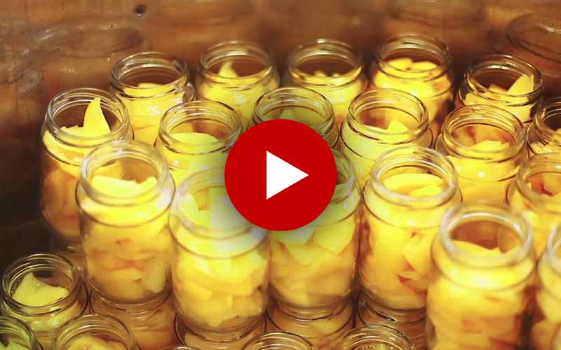 Carica In Syrup